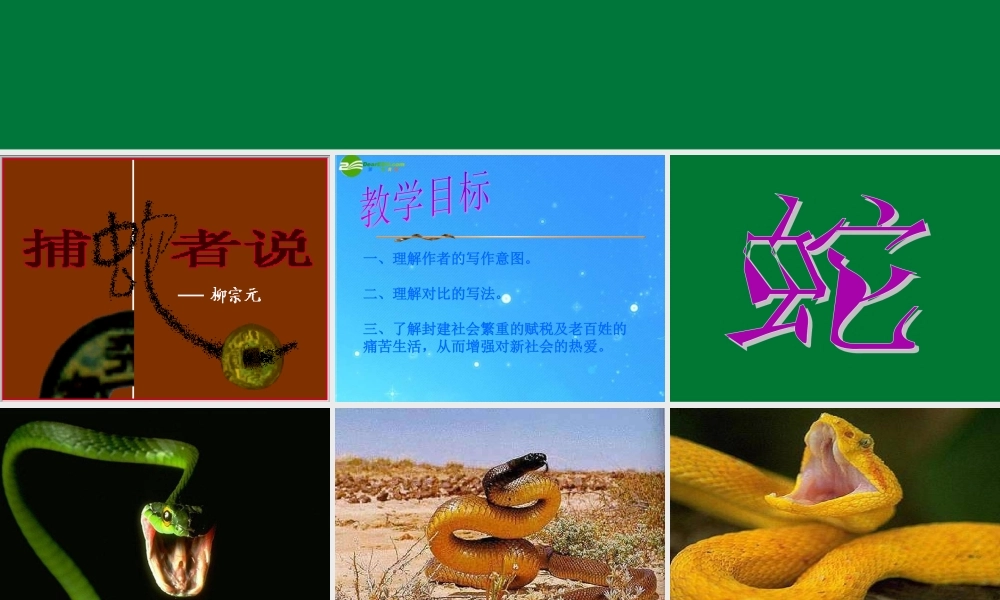 九年级语文上册 第五单元(捕蛇者说)课件 苏教版 课件