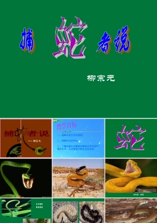 九年级语文上册 第五单元(捕蛇者说)课件 苏教版 课件