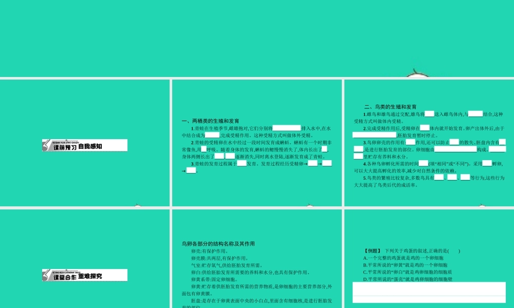 八年级生物下册 6.1.2 动物的生殖和发育(第2课时)课件 (新版)冀教版 课件