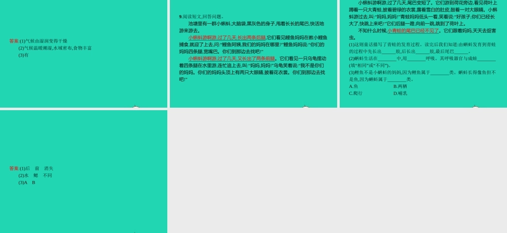 八年级生物下册 6.1.2 动物的生殖和发育(第2课时)课件 (新版)冀教版 课件