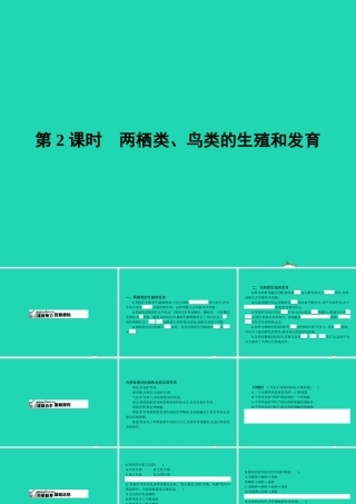 八年级生物下册 6.1.2 动物的生殖和发育(第2课时)课件 (新版)冀教版 课件