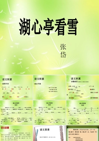 八年级语文上册 29 湖心亭看雪课件 (新版)新人教版 课件