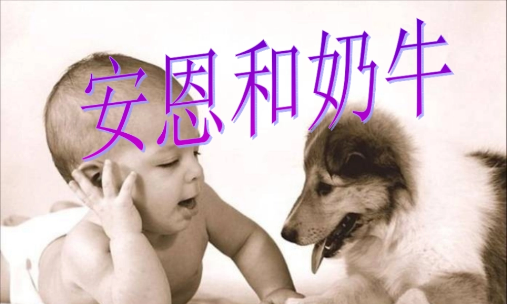 七年级语文上册(安恩和奶牛)课件2 苏教版 课件