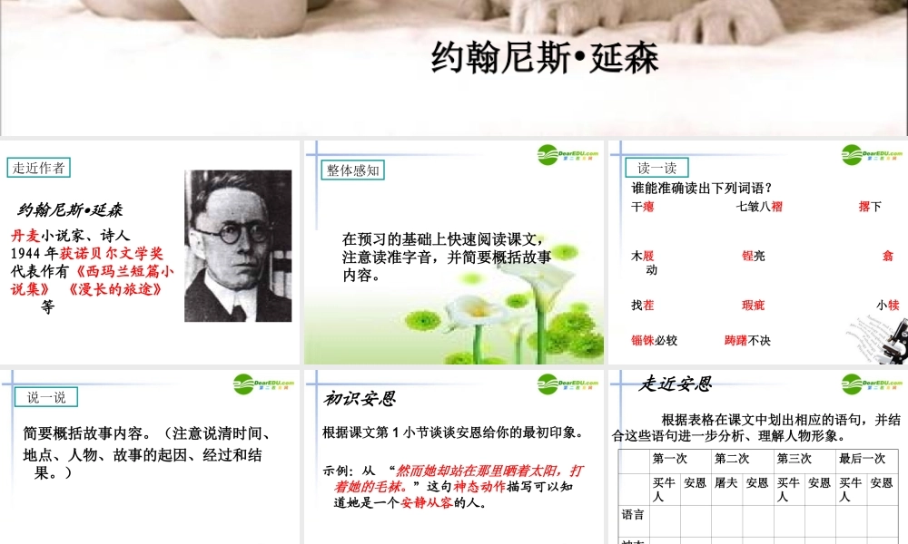 七年级语文上册(安恩和奶牛)课件2 苏教版 课件