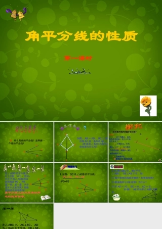 八年级数学上册 11.3 角的平分线的性质课件1 新人教版 课件