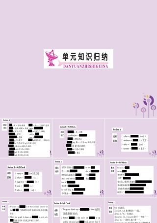 九年级英语全册 Unit 10 You re supposed to shake hands知识归纳作业课件 (新版)人教新目标版 课件