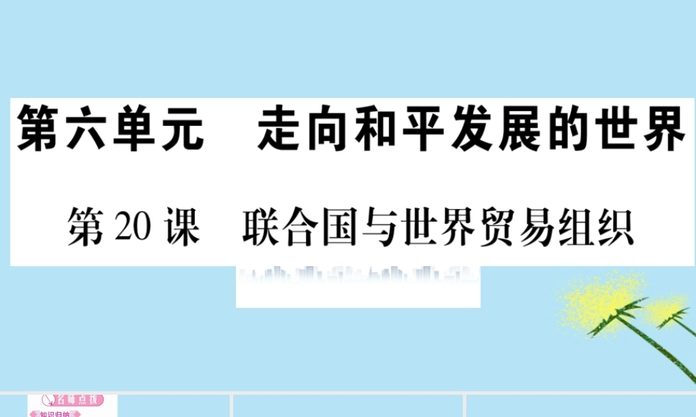 九年级历史下册 第六单元 冷战结束后的世界 第联合国与世界贸易组织习题课件 新人教版 课件