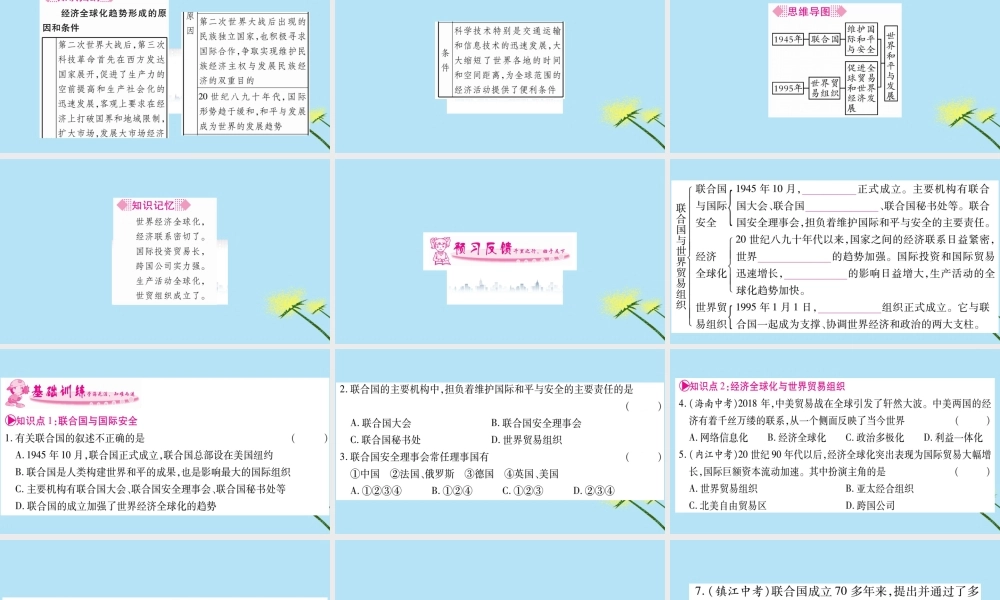 九年级历史下册 第六单元 冷战结束后的世界 第联合国与世界贸易组织习题课件 新人教版 课件