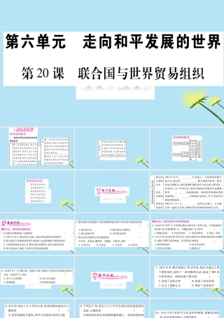 九年级历史下册 第六单元 冷战结束后的世界 第联合国与世界贸易组织习题课件 新人教版 课件