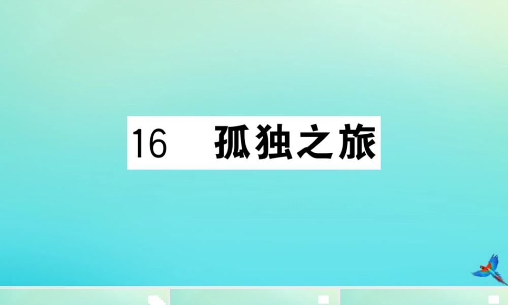 九年级语文上册 第四单元 16 孤独之旅作业课件 新人教版 课件