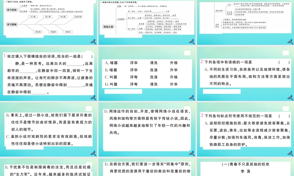 九年级语文上册 第四单元 16 孤独之旅作业课件 新人教版 课件