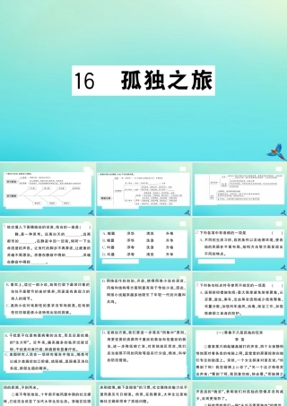 九年级语文上册 第四单元 16 孤独之旅作业课件 新人教版 课件