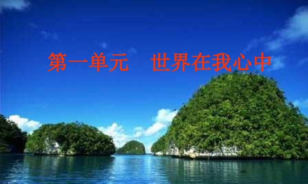 九年级思想品德 第一单元(世界在我心中)复习课件 湘师版 课件