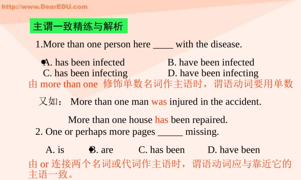 人教版高一英语主谓一致精练与解析 课件