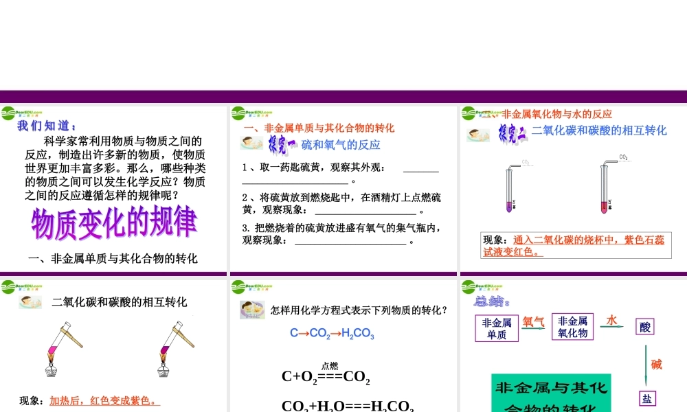 九年级科学上册 第2节 物质的转化规律课件(第一课时)浙教版 课件