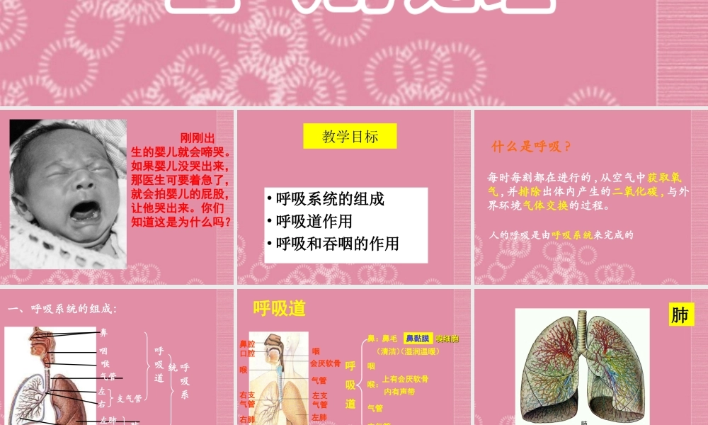 七年级生物下册 呼吸道对空气的处理课件 新人教版 课件