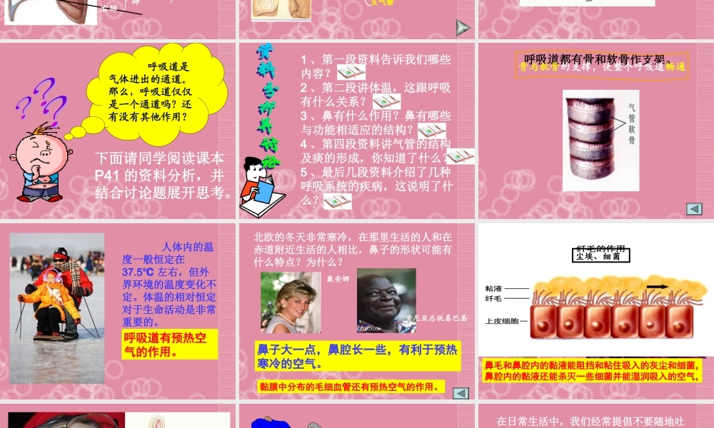 七年级生物下册 呼吸道对空气的处理课件 新人教版 课件