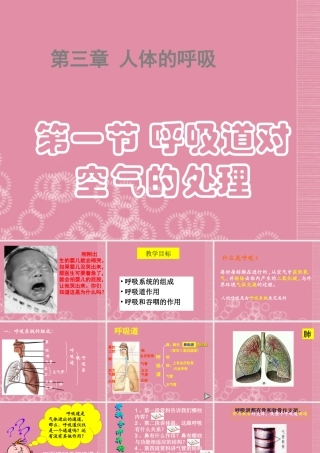 七年级生物下册 呼吸道对空气的处理课件 新人教版 课件