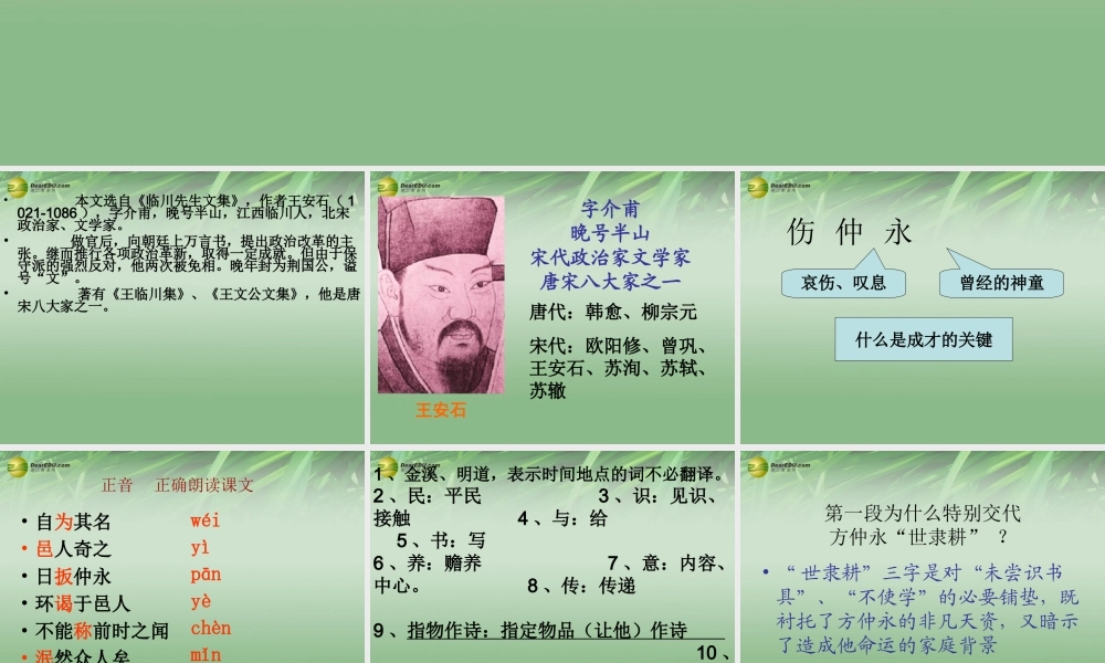 中学七年级语文下册(伤仲永)课件 新人教版 课件