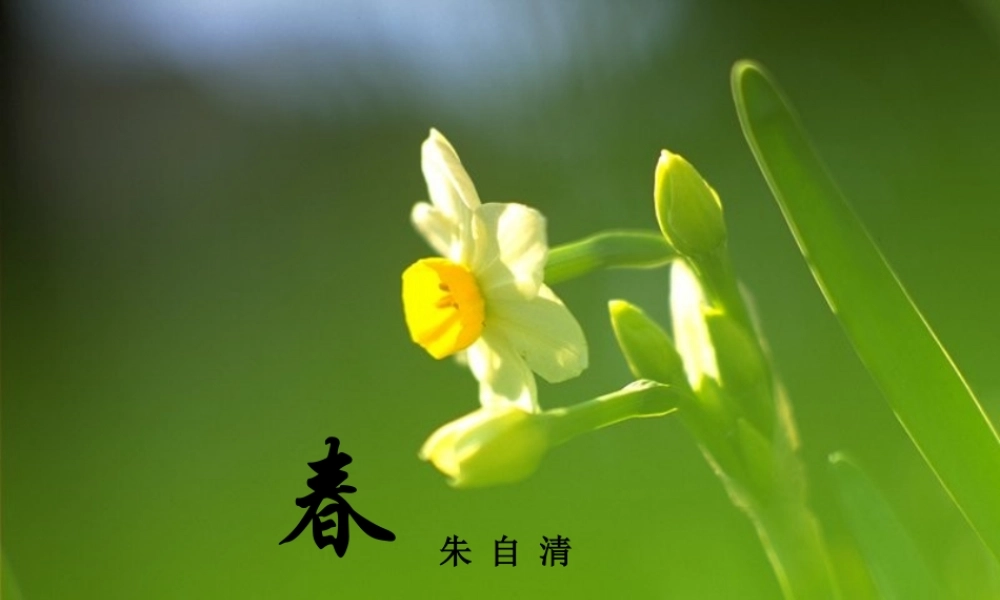 七年级语文上册 (春)教学课件 苏教版 课件