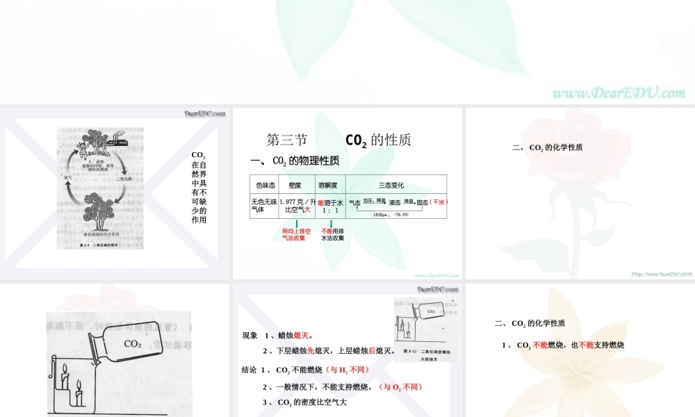 二氧化碳性质 新课程 课件