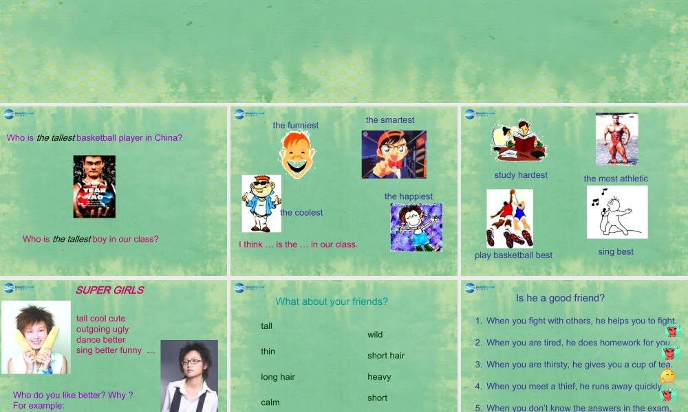 八年级英语上册 Unit 3 I m more outgoing than my sister Section B课件 (新版)人教新目标版 课件