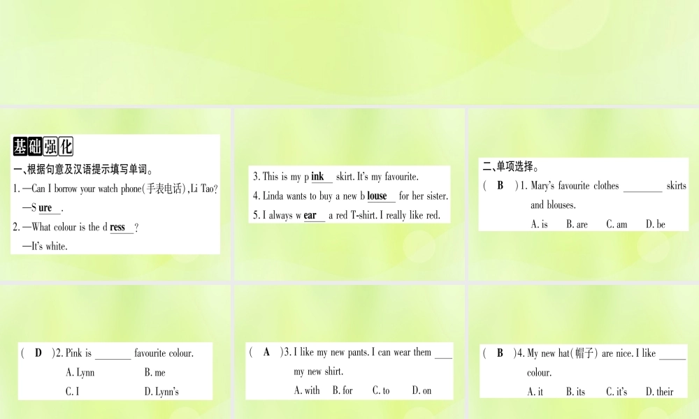 七年级英语上册 Unit 2 Colours and Clothes Lesson 7 Jenny s New Skirt课件 (新版)冀教版 课件