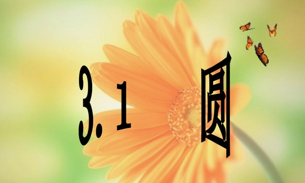 九年级数学上：31圆课件(浙教版) 课件