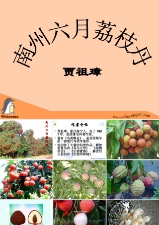 人教版高一语文南洲六月荔枝丹 贾祖璋 课件