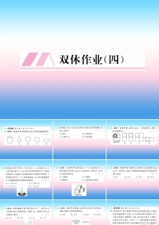九年级数学下册 双休作业(四)作业课件 (新版)新人教版 课件