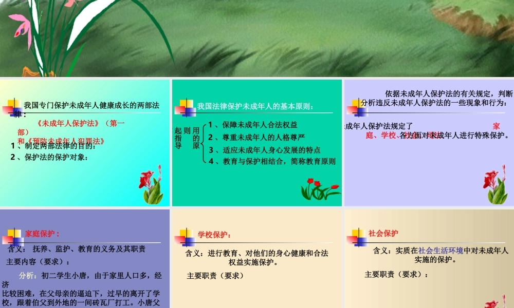 八年级政治人教版依法保护未成年人健康成长ppt 课件