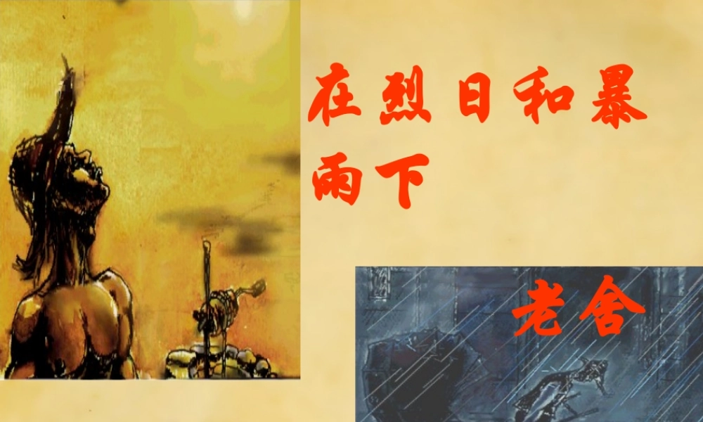 九年级语文上册 第2单元 7 在烈日和暴雨下课件 苏教版 课件