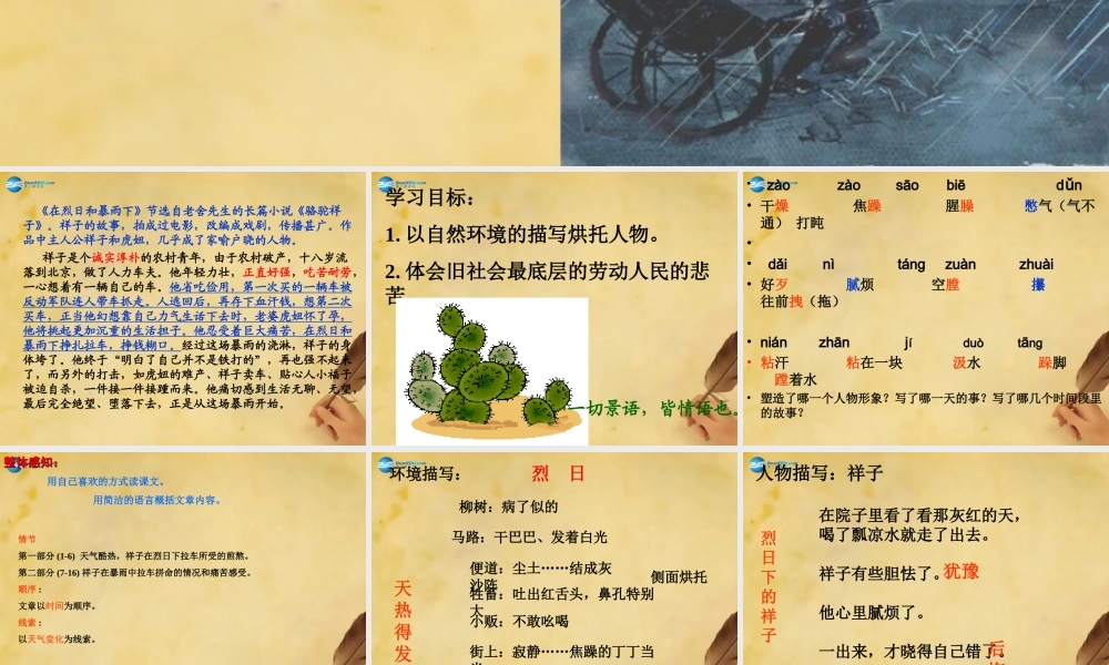 九年级语文上册 第2单元 7 在烈日和暴雨下课件 苏教版 课件