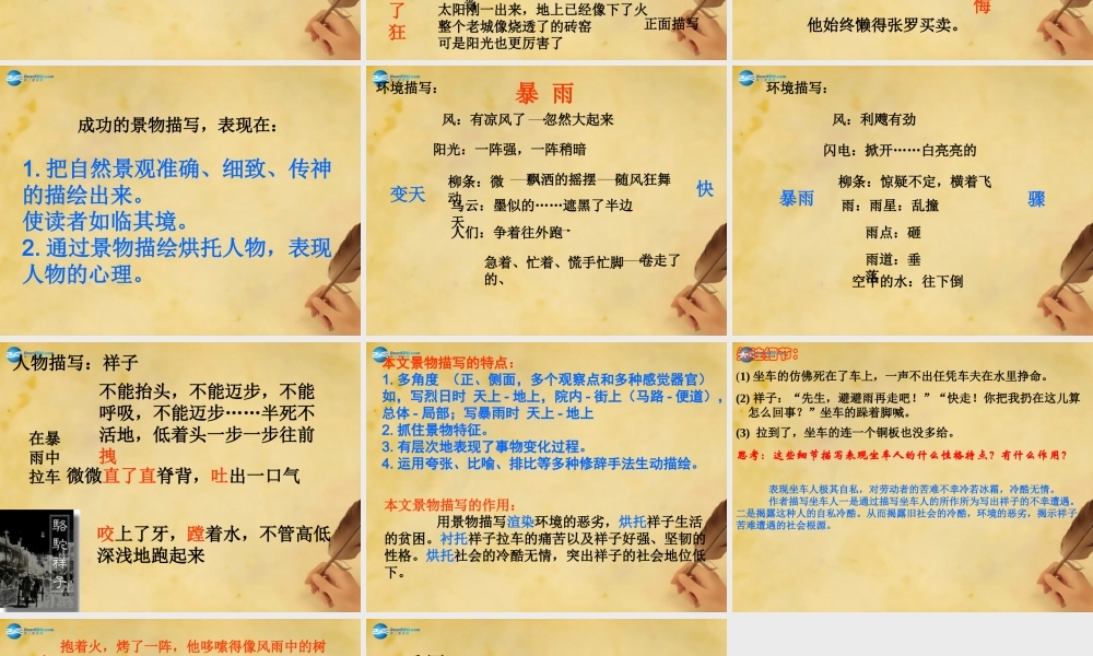 九年级语文上册 第2单元 7 在烈日和暴雨下课件 苏教版 课件