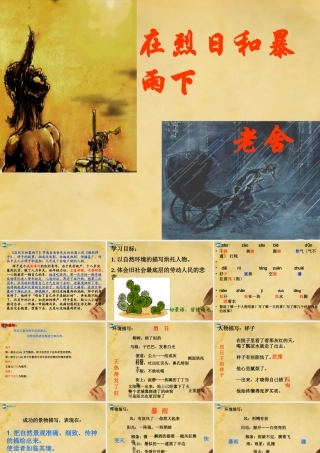 九年级语文上册 第2单元 7 在烈日和暴雨下课件 苏教版 课件