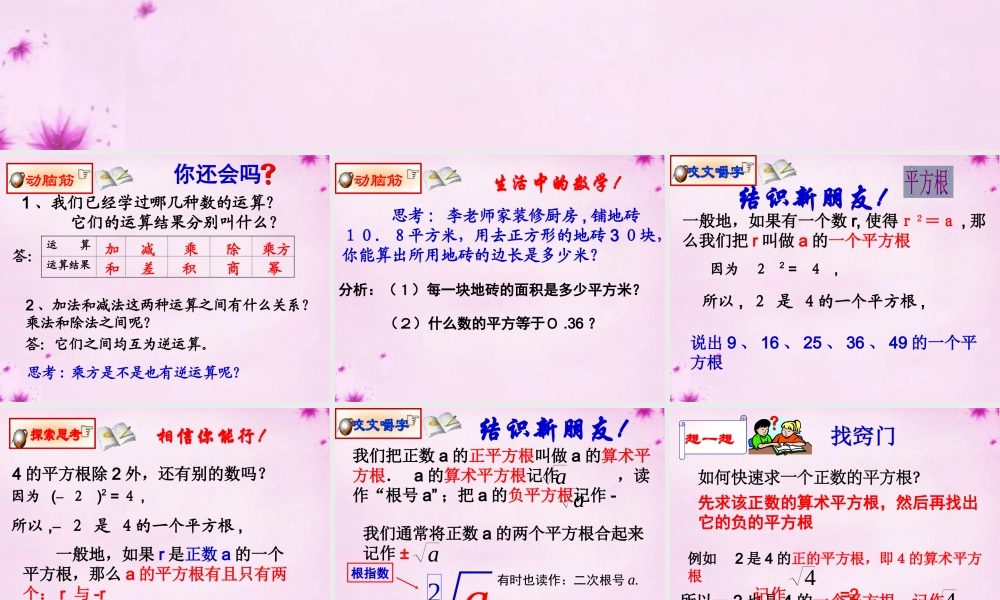 八年级数学上册 3.1(平方根)(第1课时)课件 (新版)湘教版 课件