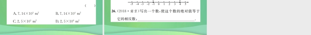 中考数学复习 第一单元 数与式 第1讲 第1课时 实数的相关概念课件