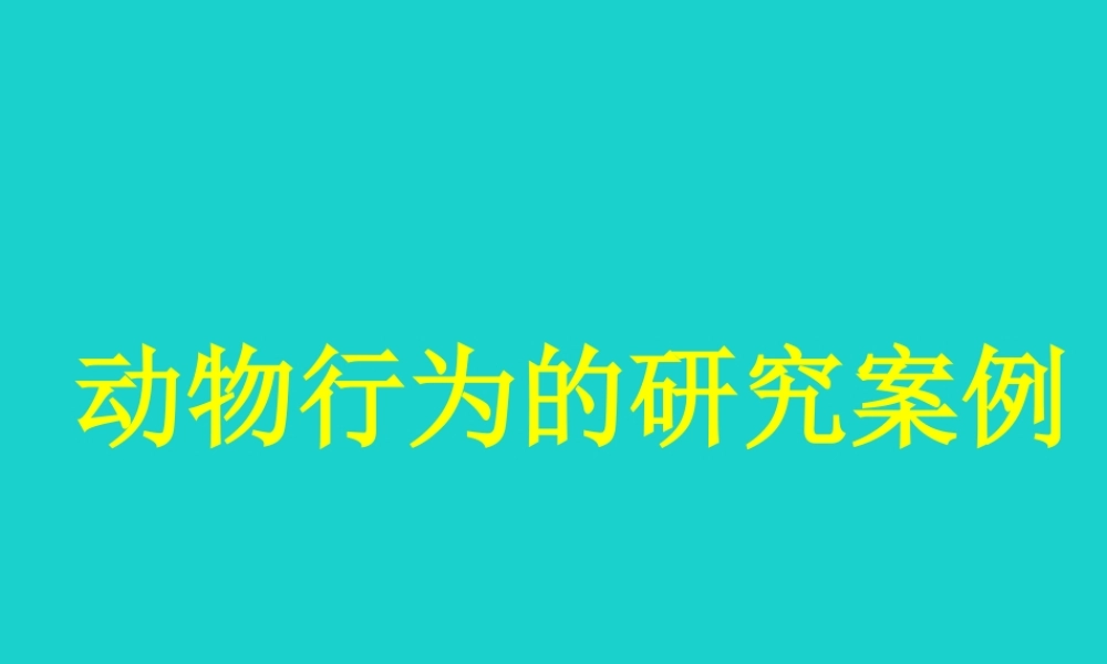 八年级生物上册 第九章 第二节 动物的行为 动物行为的研究案例课件 (新版)北京版 课件
