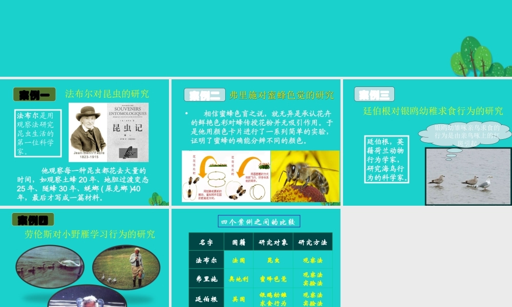 八年级生物上册 第九章 第二节 动物的行为 动物行为的研究案例课件 (新版)北京版 课件