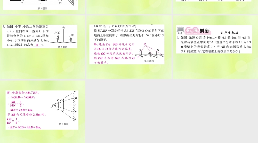 九年级数学下册 第3章 投影与视图 31 投影习题课件 (新版)湘教版 课件