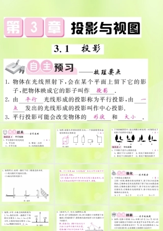 九年级数学下册 第3章 投影与视图 31 投影习题课件 (新版)湘教版 课件