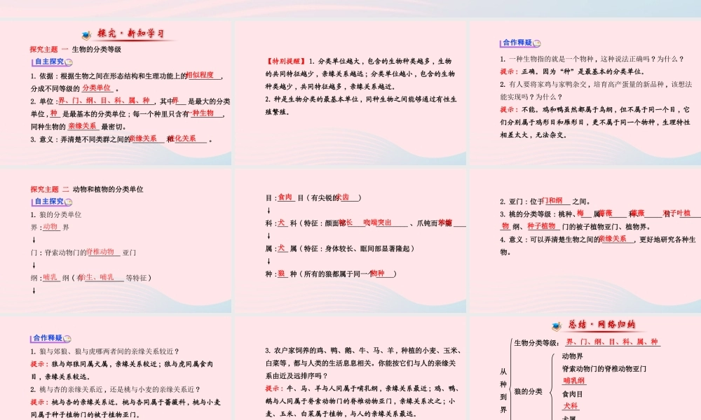 八年级生物上册 第六单元 第一章 第二节 从种到界课件 (新版)新人教版 课件