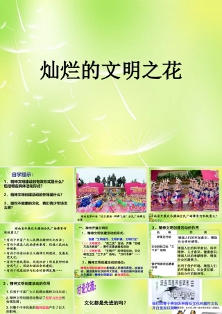 九年级政治全册 382 灿烂的文明之花课件2 新人教版 课件