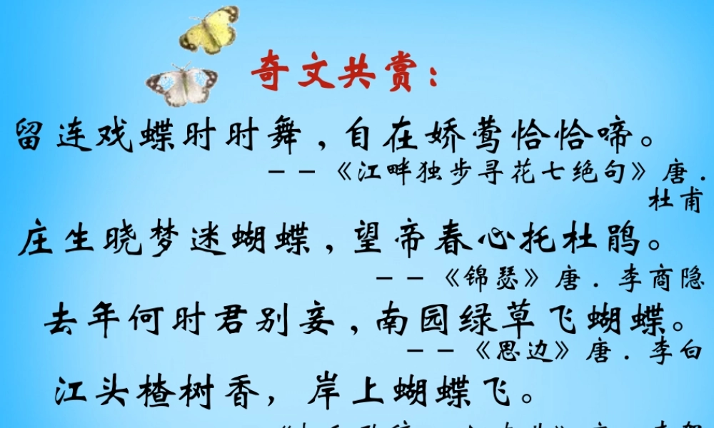 七年级语文上册 第四单元 第24课(枯叶蝴蝶)课件 鲁教版 课件