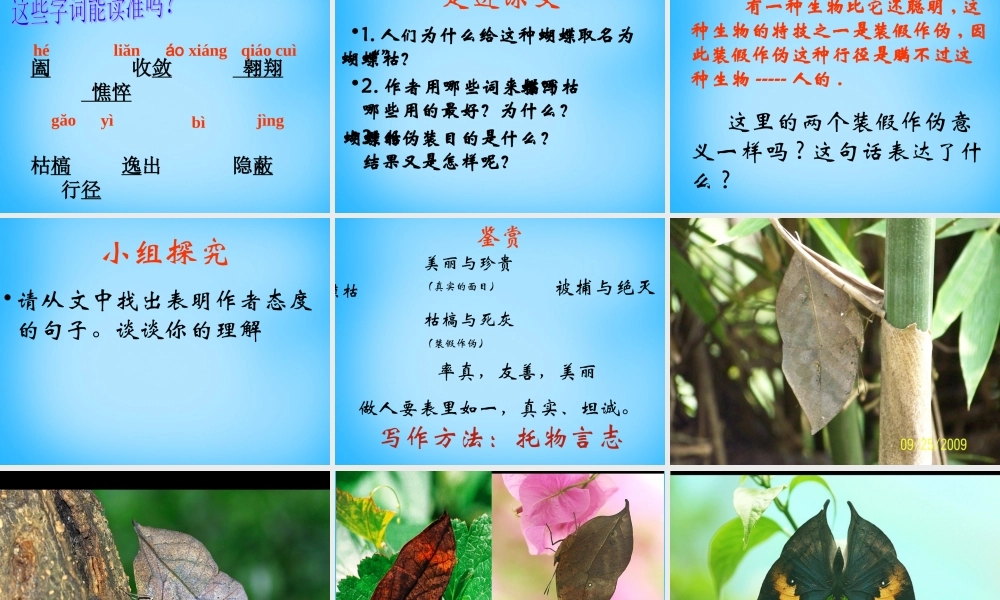 七年级语文上册 第四单元 第24课(枯叶蝴蝶)课件 鲁教版 课件