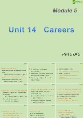 广东省高三英语第一轮总复习 Module5 Unit14 Careers(2)课件 北师大版 新课标 课件