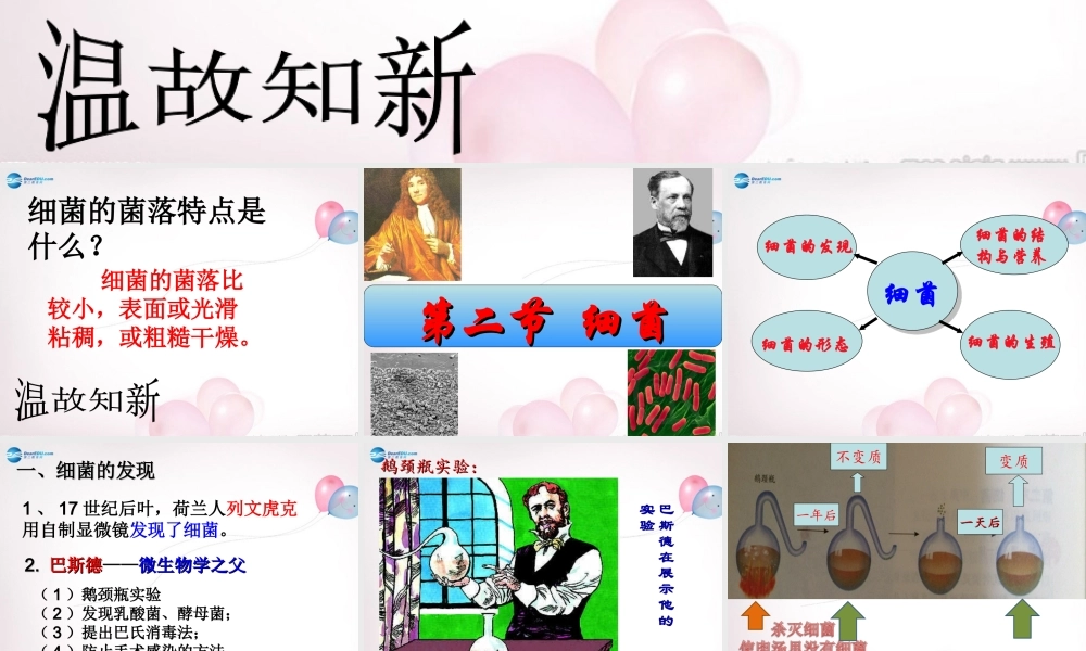 八年级生物上册 5.4.2 细菌课件 (新版)新人教版 课件