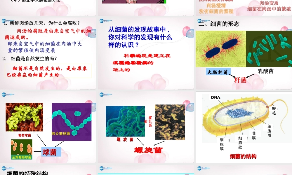 八年级生物上册 5.4.2 细菌课件 (新版)新人教版 课件