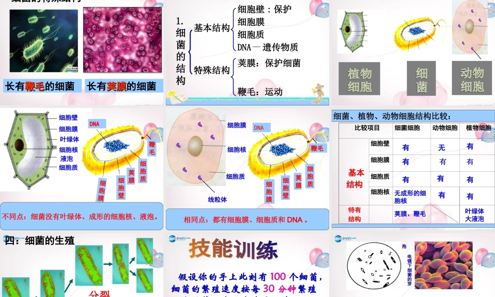 八年级生物上册 5.4.2 细菌课件 (新版)新人教版 课件
