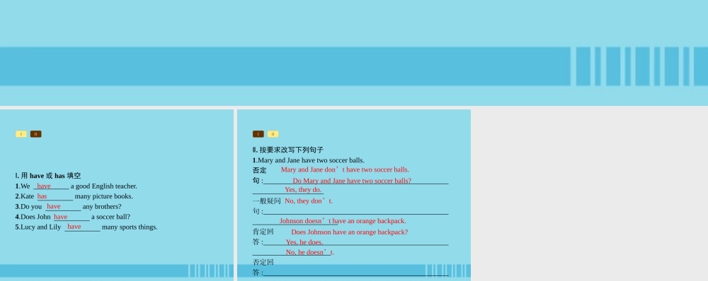 七年级英语上册 Unit 5 Do you have a soccer ball语法课堂课件 (新版)人教新目标版 课件
